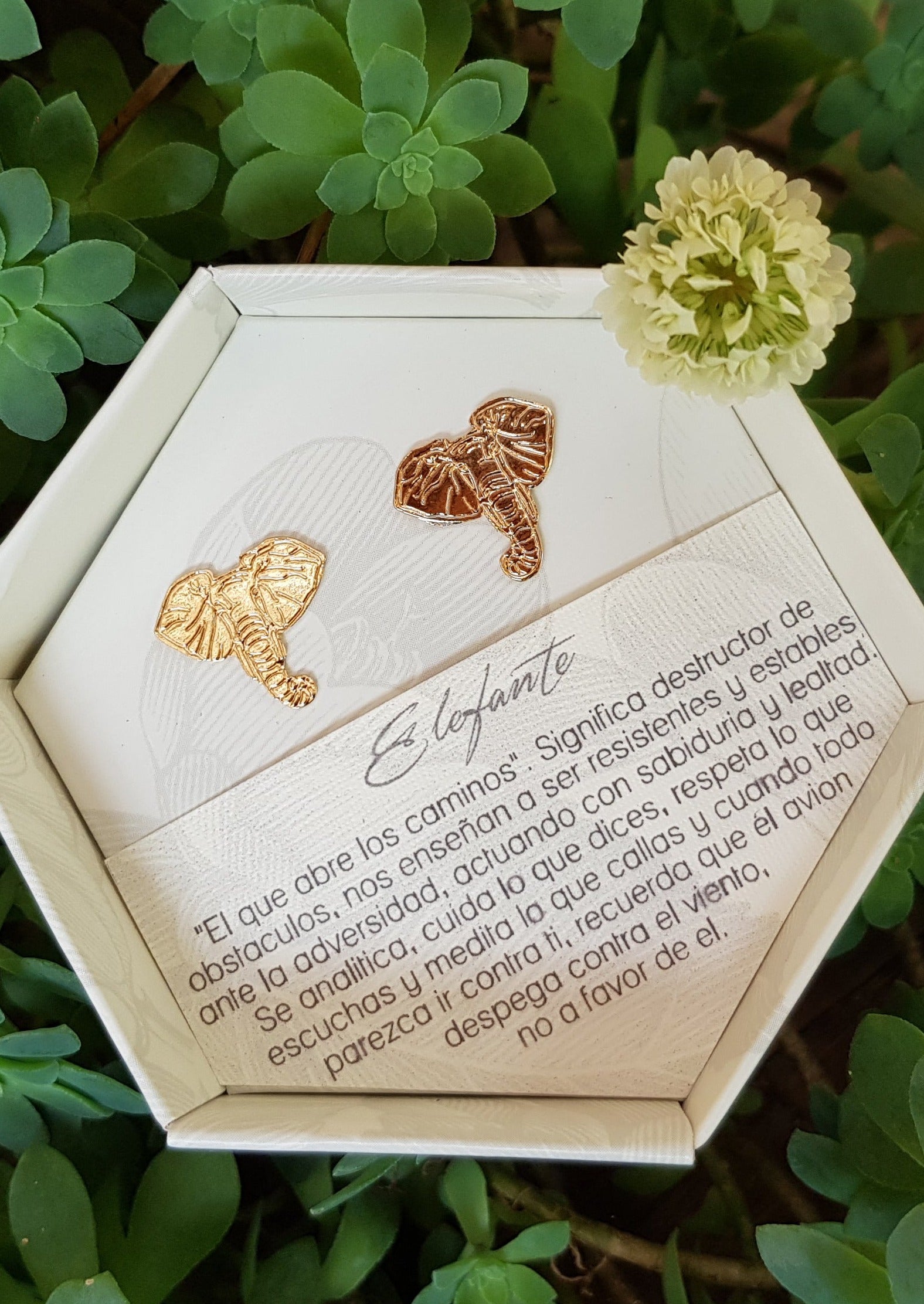 Aretes Elefante Gold