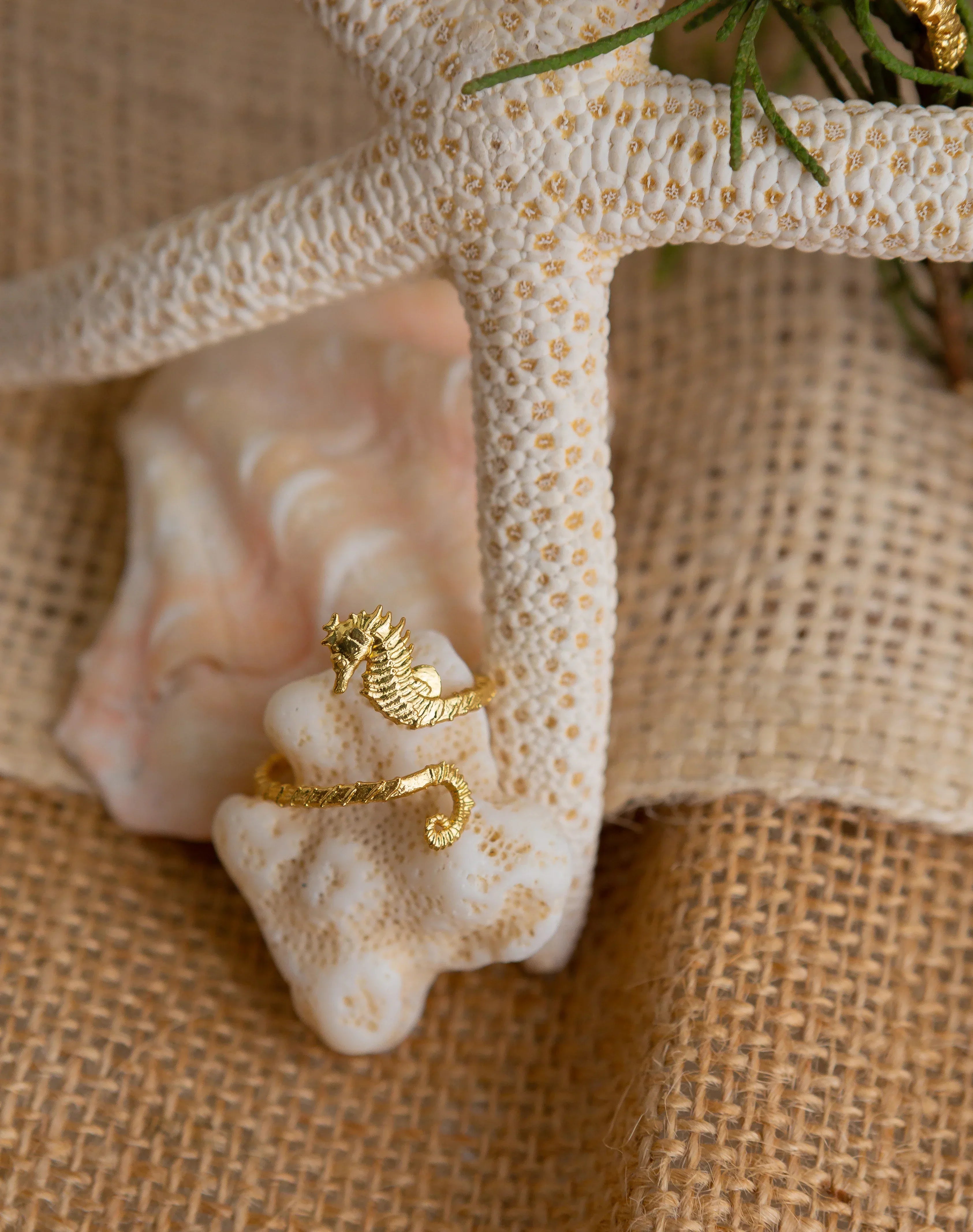 Anillo Caballito de Mar