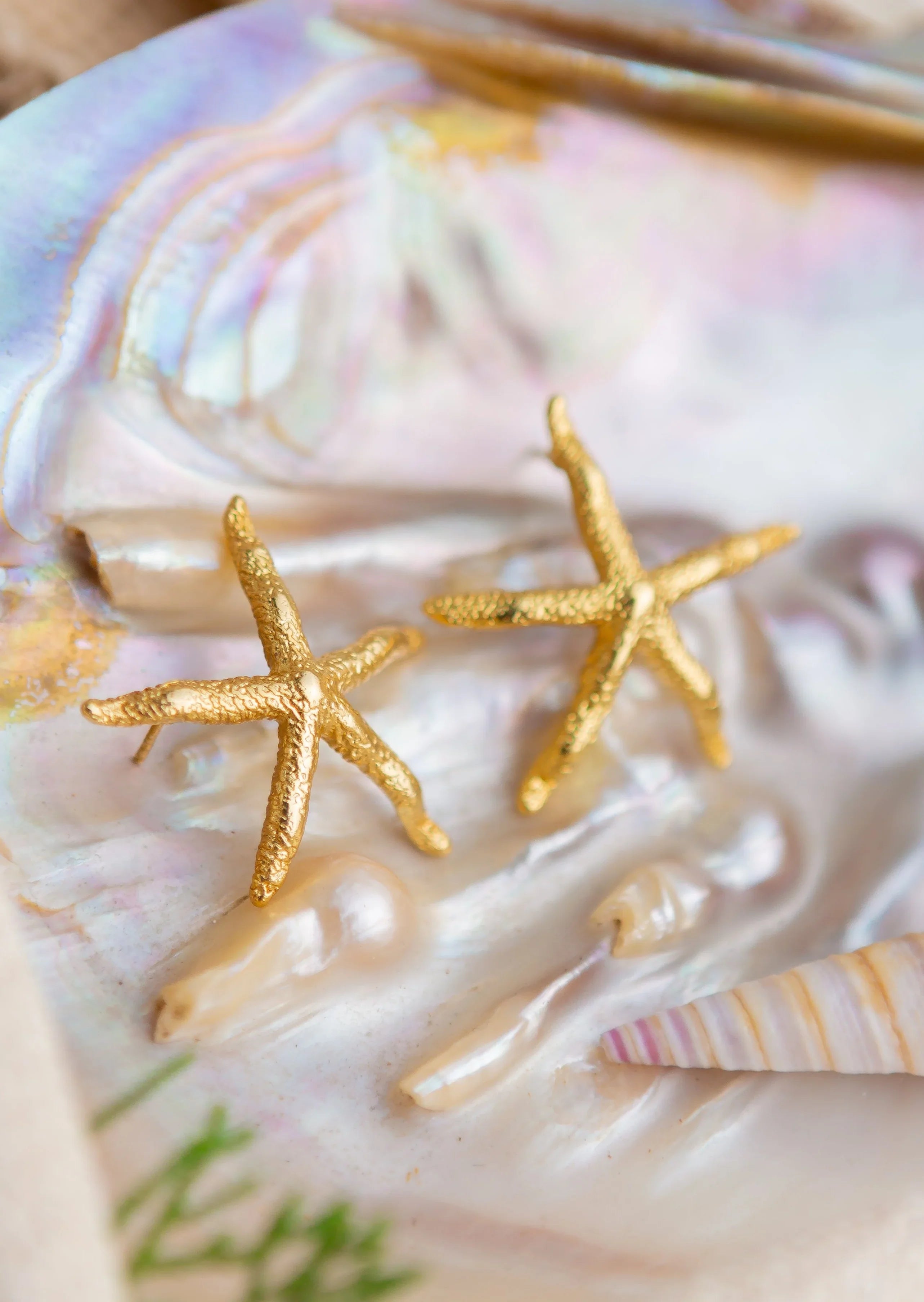 Aretes Estrella de Mar - Resiliencia