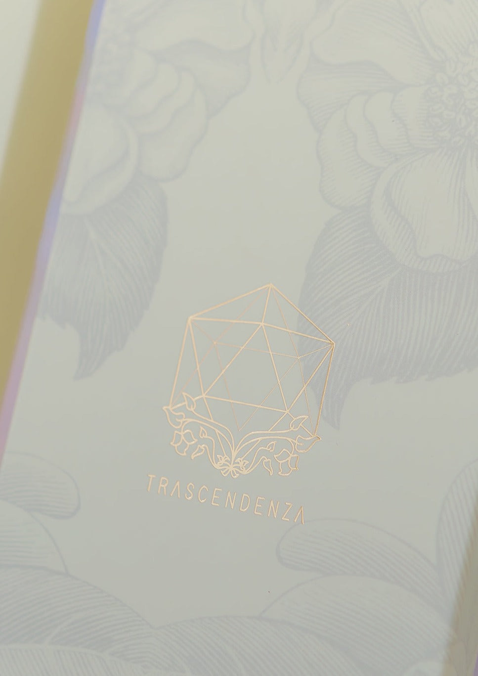 Caja de empaque (Regalo.)