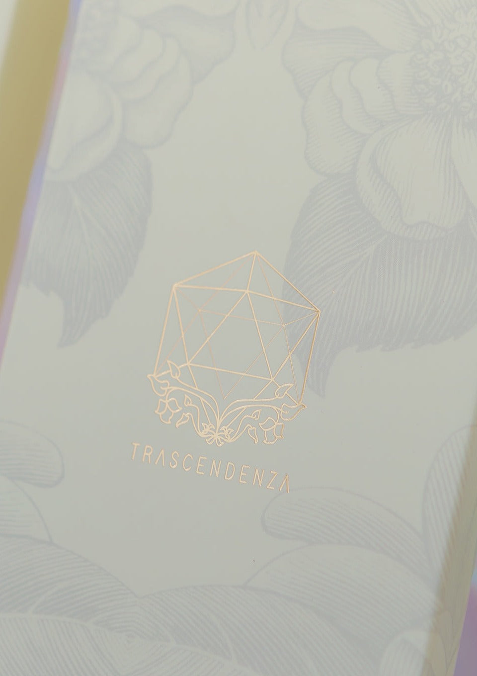 Set de 2 · Pendientes + Climber Presencia