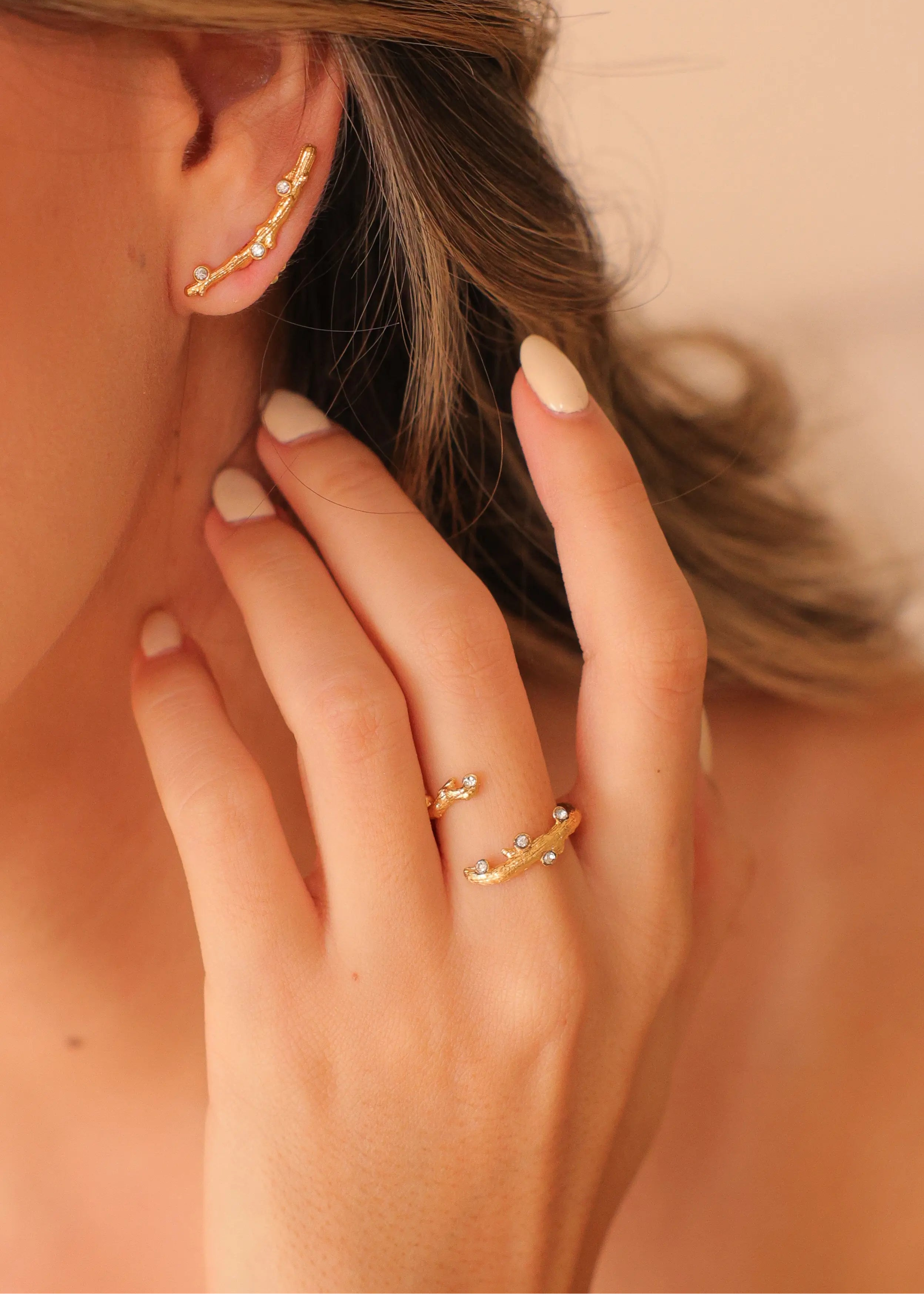 Anillo Raíz de mi Historia