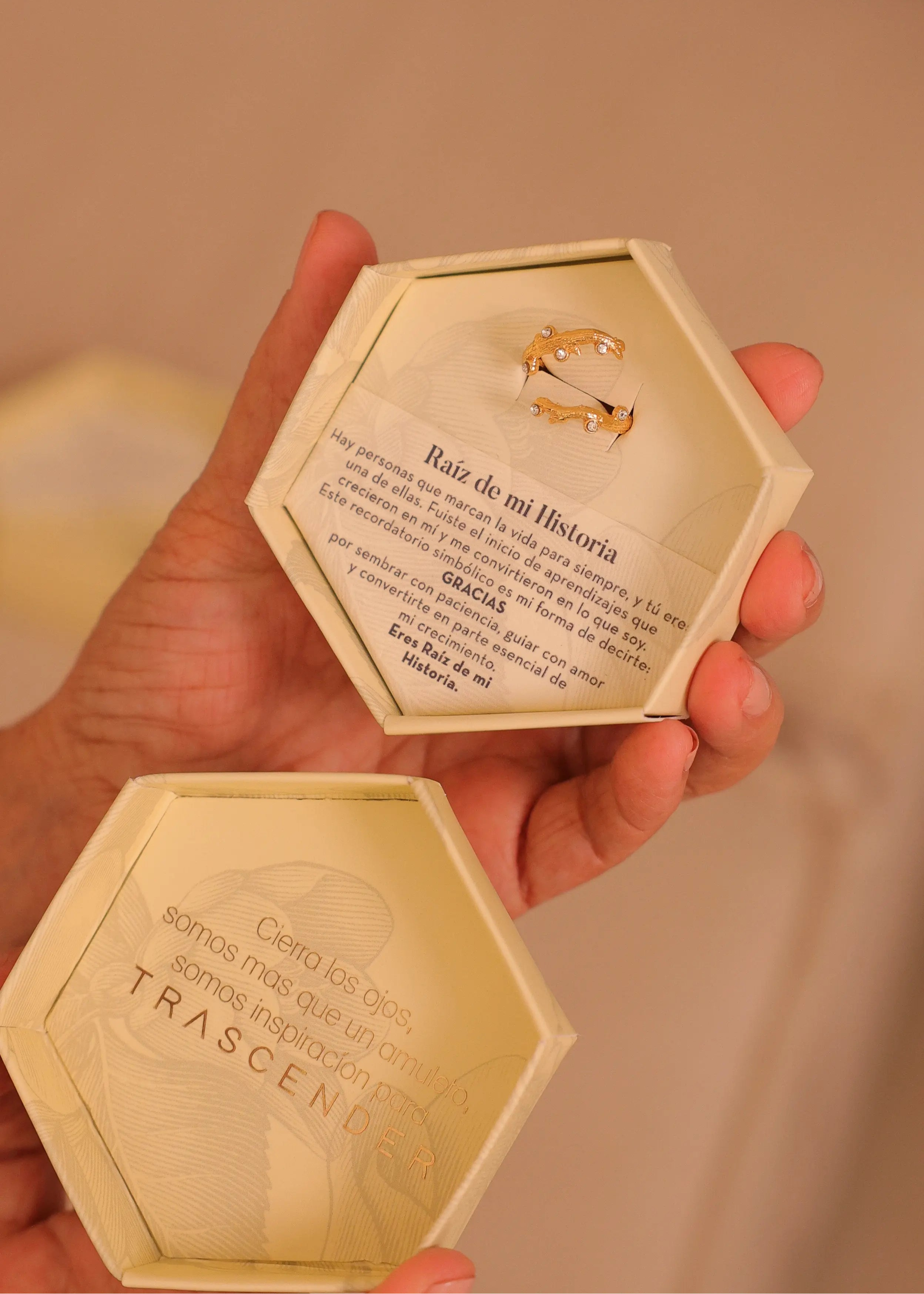 Anillo Raíz de mi Historia