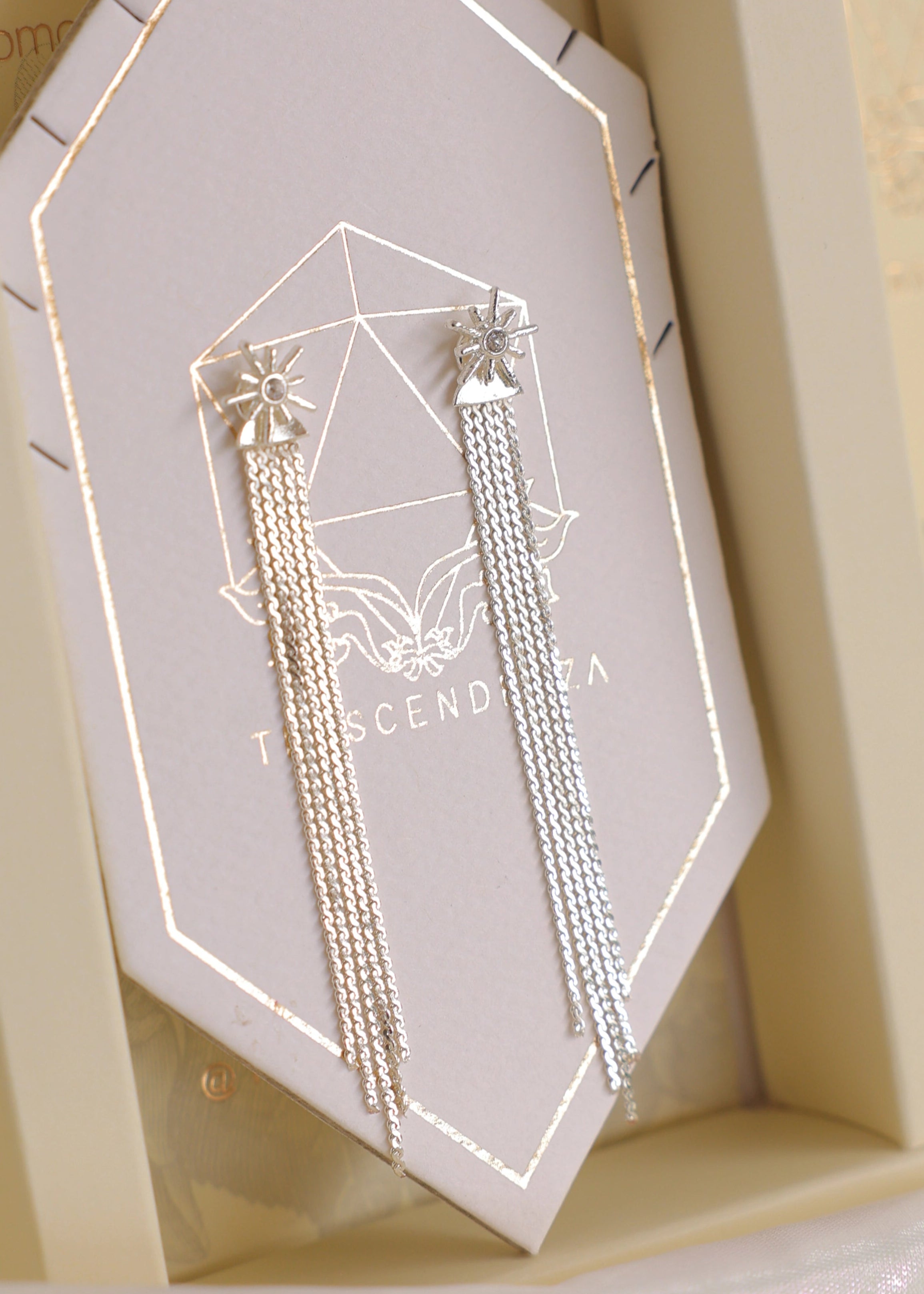 Aretes Intercambiables: Pide un Deseo Plata