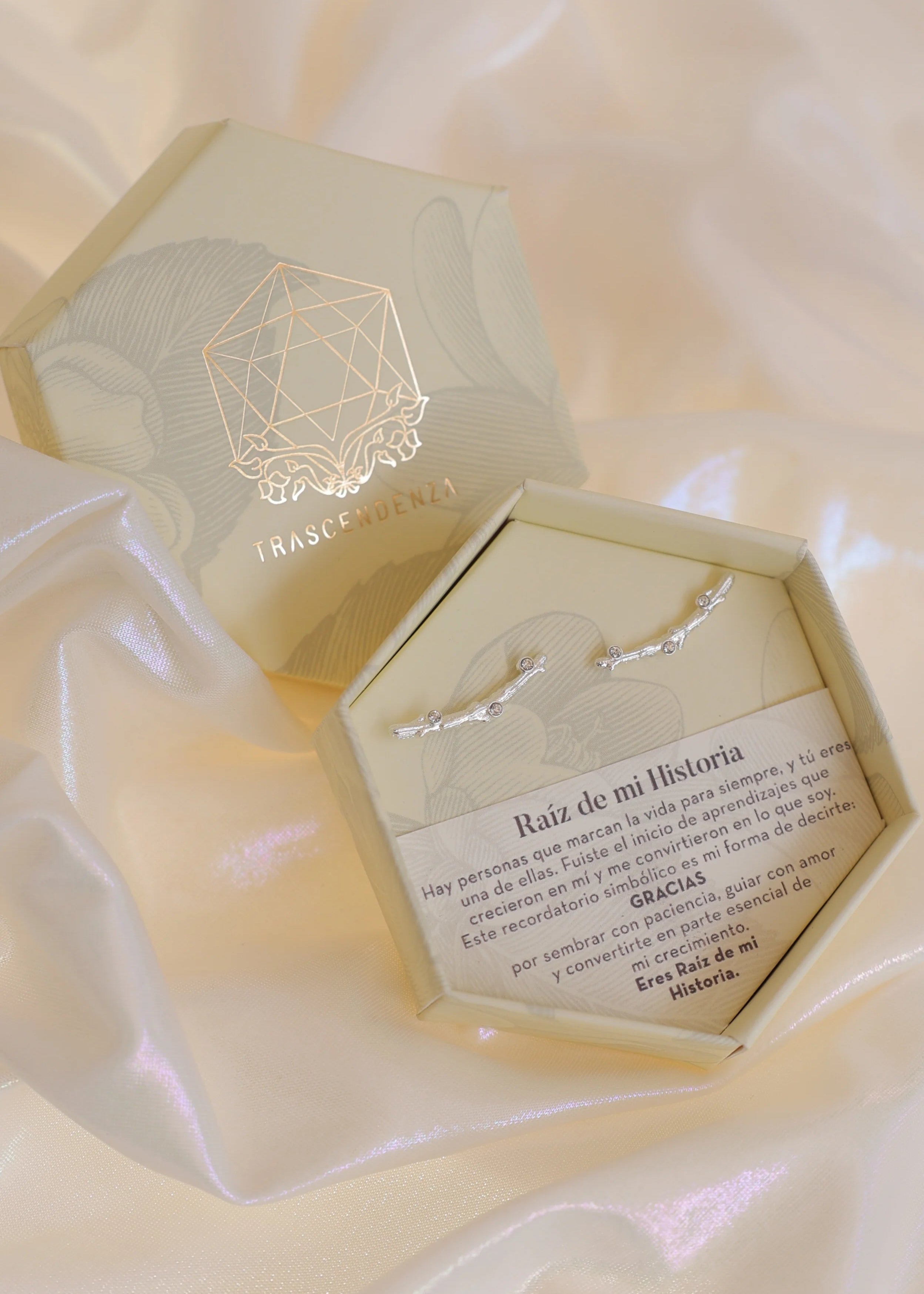 Aretes Raíz de mi Historia Plata