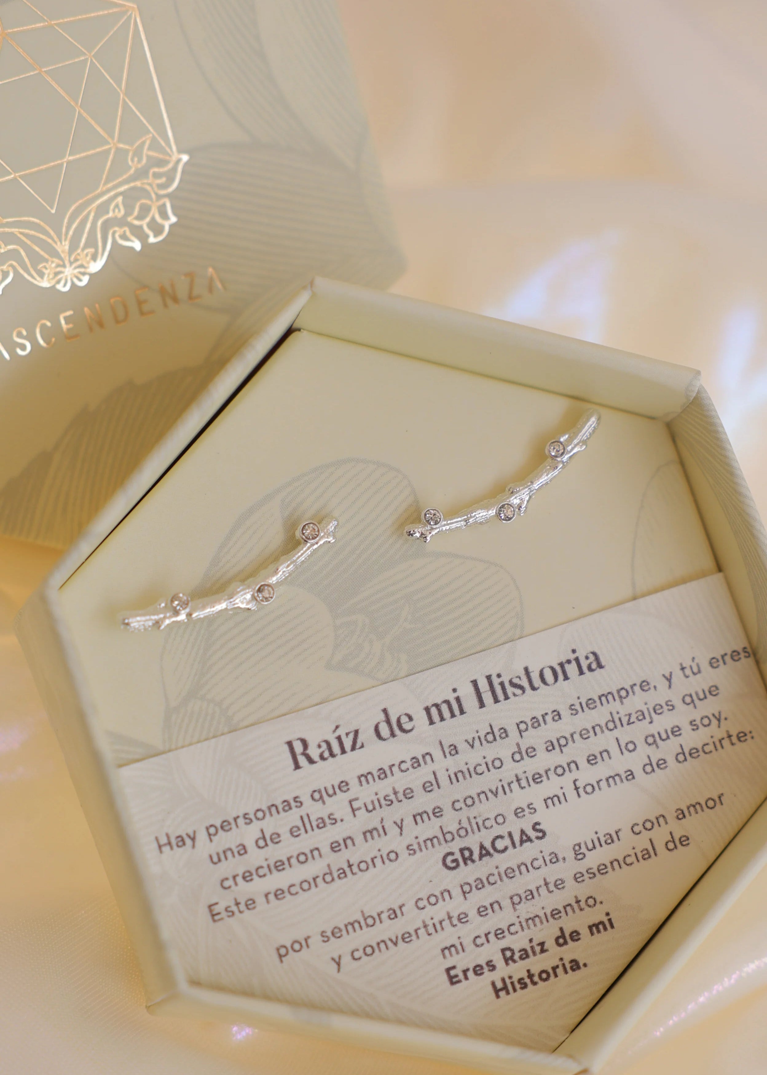 Aretes Raíz de mi Historia Plata