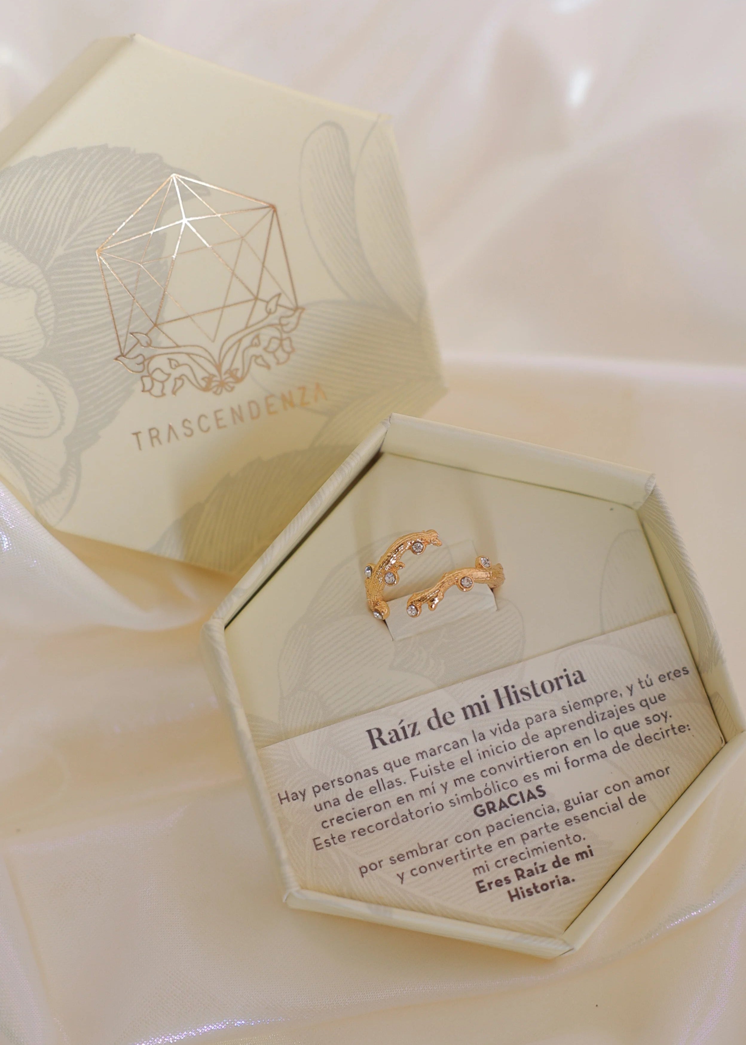 Anillo Raíz de mi Historia