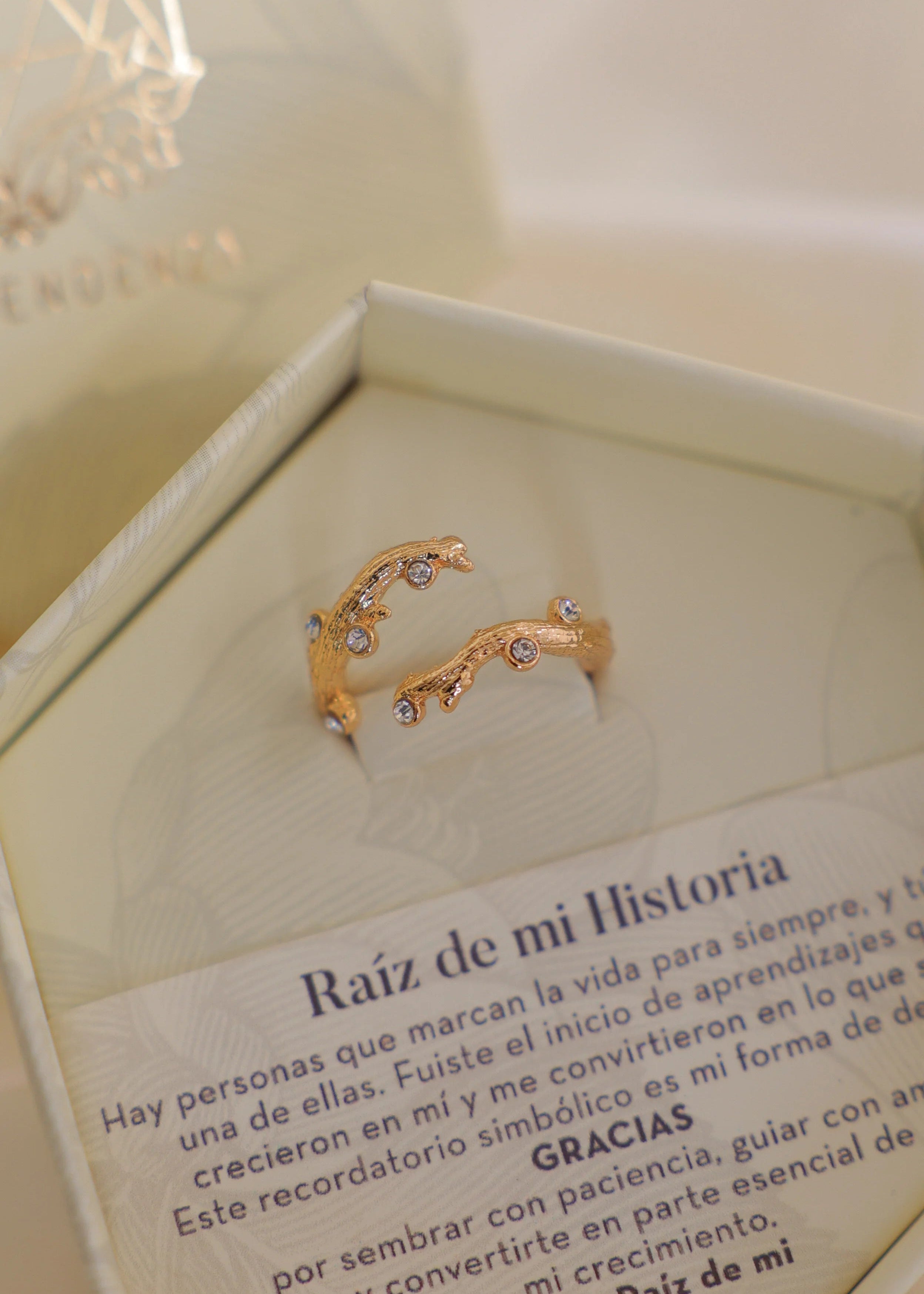 Anillo Raíz de mi Historia
