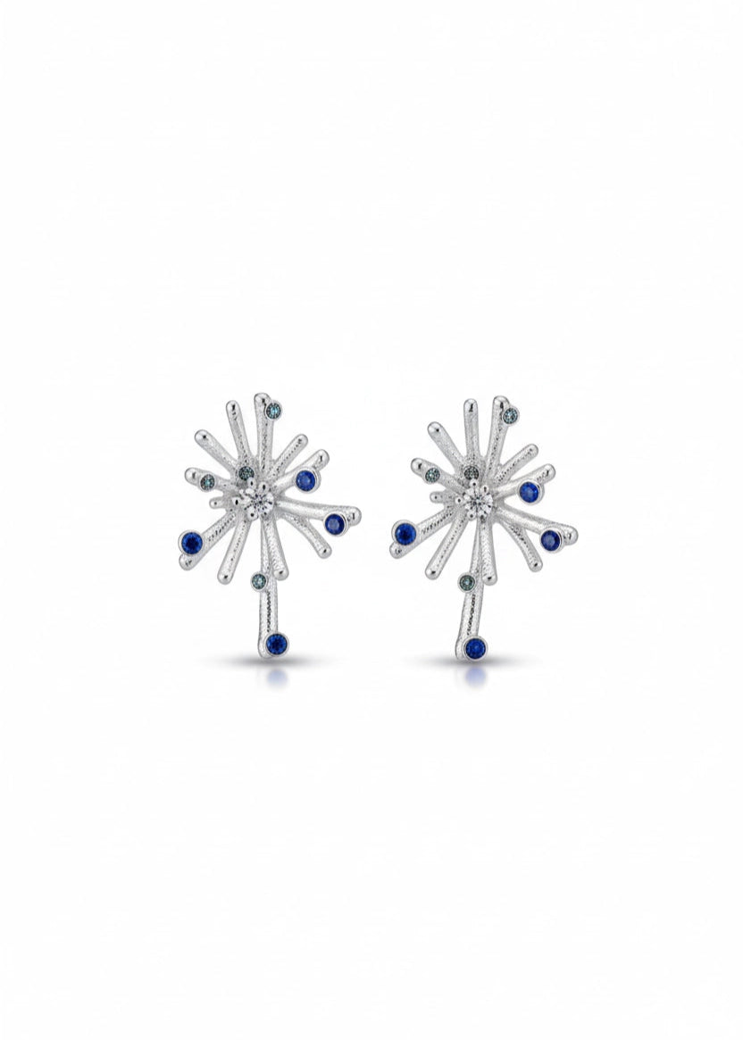 Aretes Astro Plata