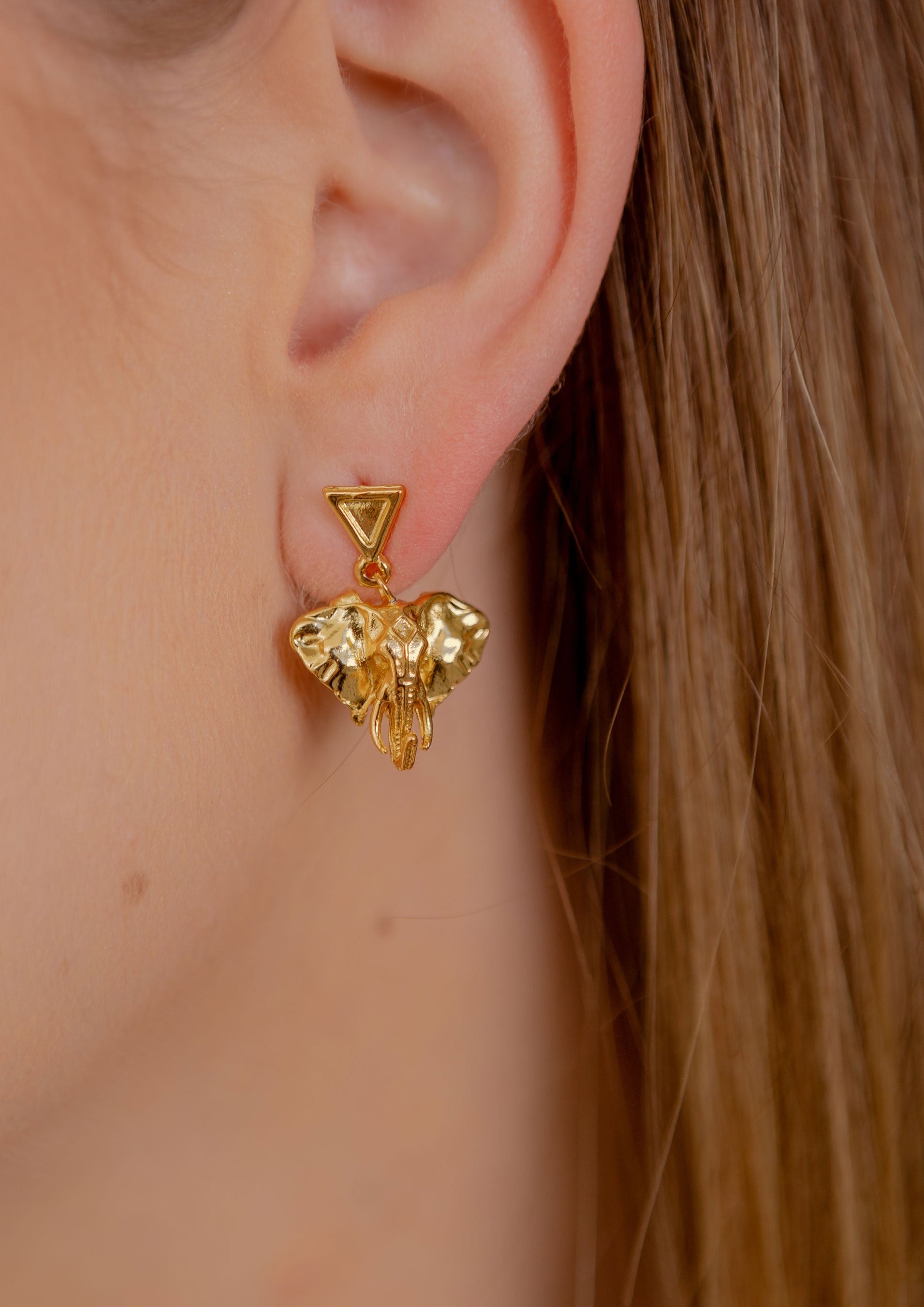 Aretes Elefante Tótem Fortaleza