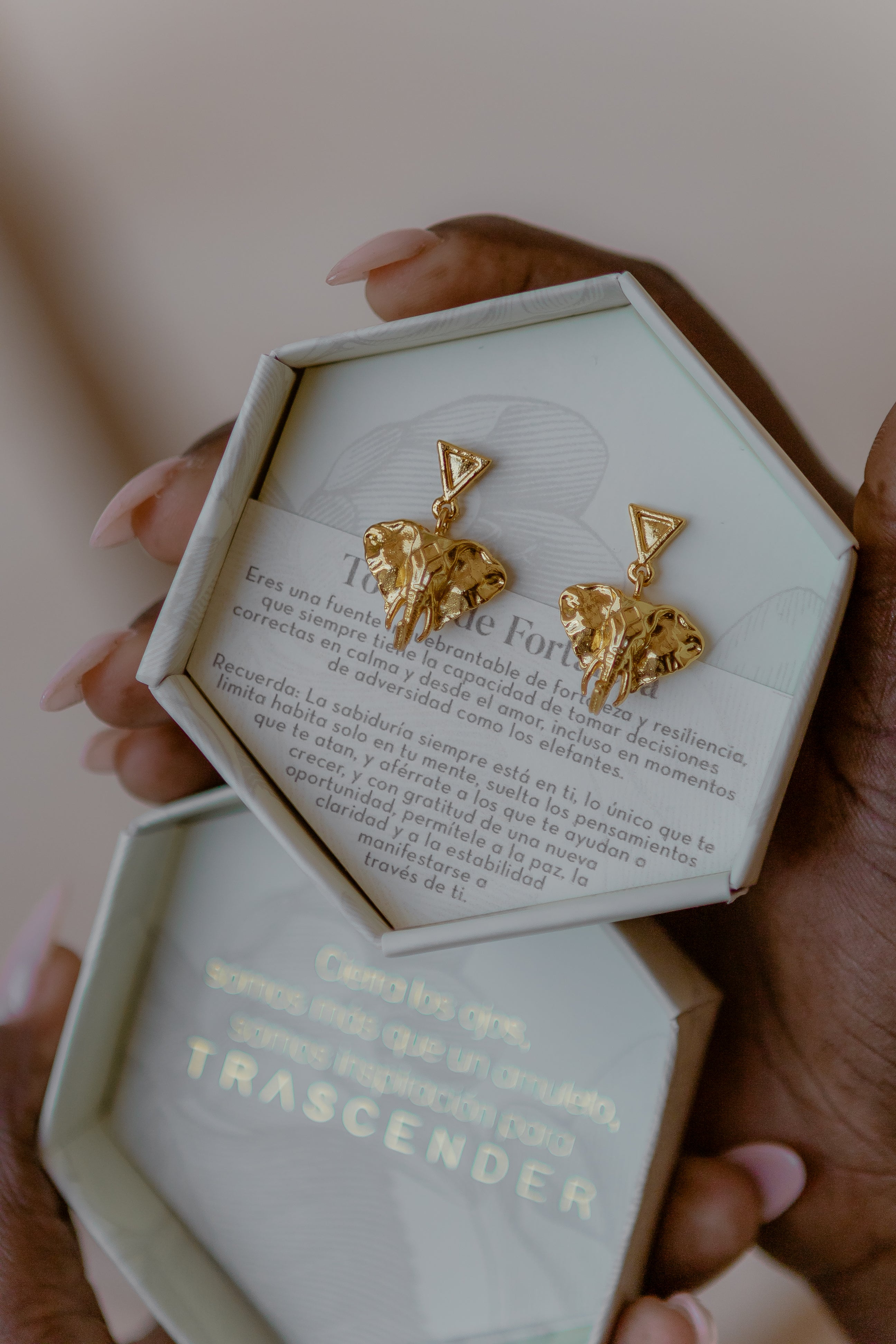 Aretes Elefante Tótem Fortaleza