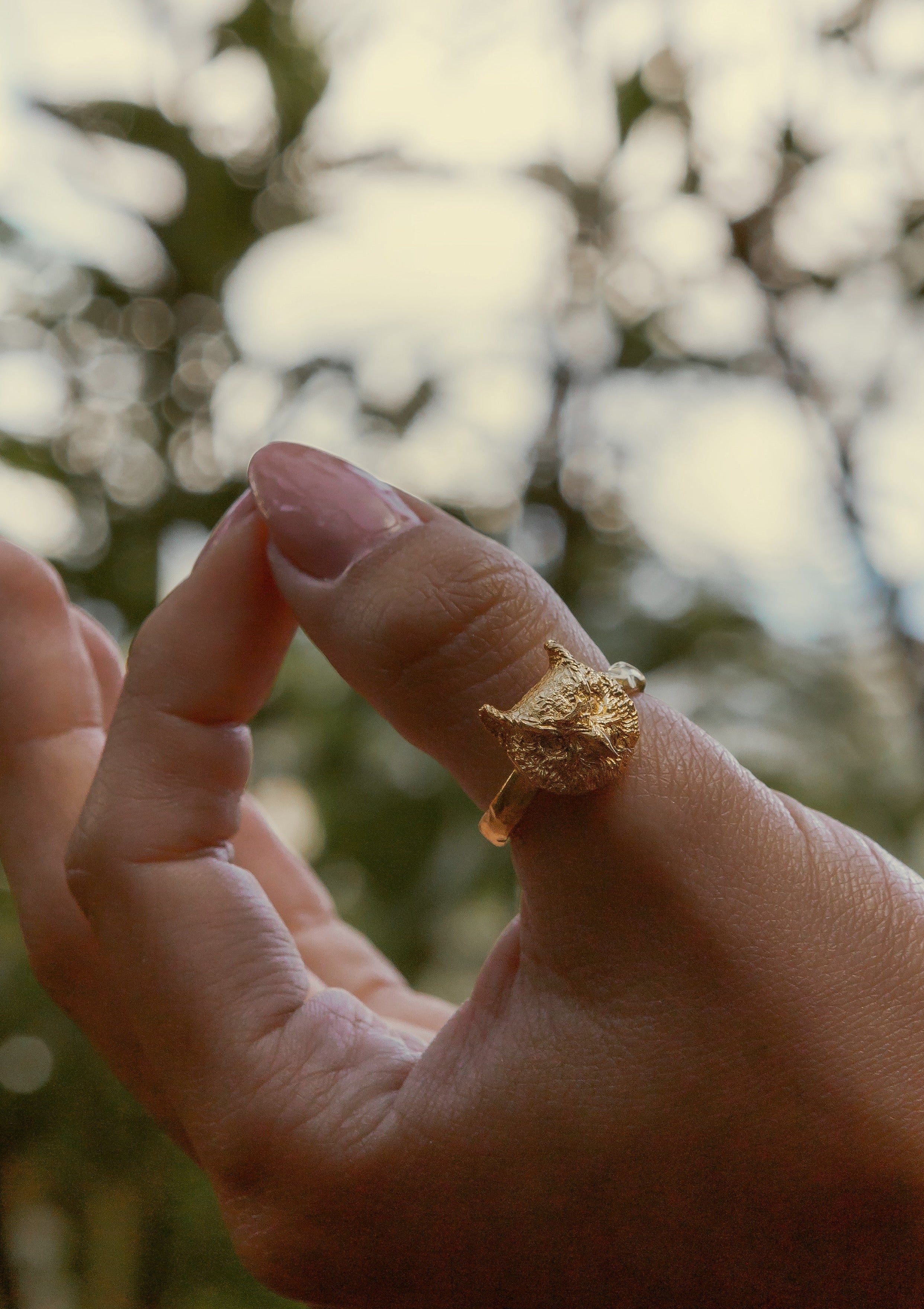 Anillo Búho Tótem Visión