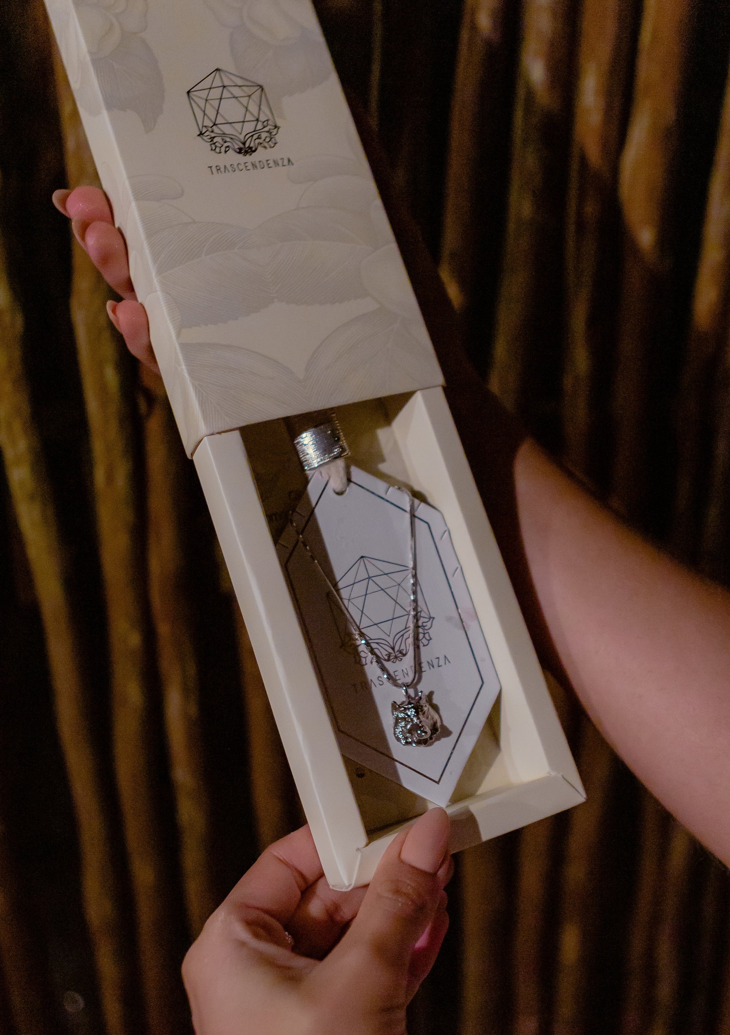 Collar Lobo Tótem Certeza