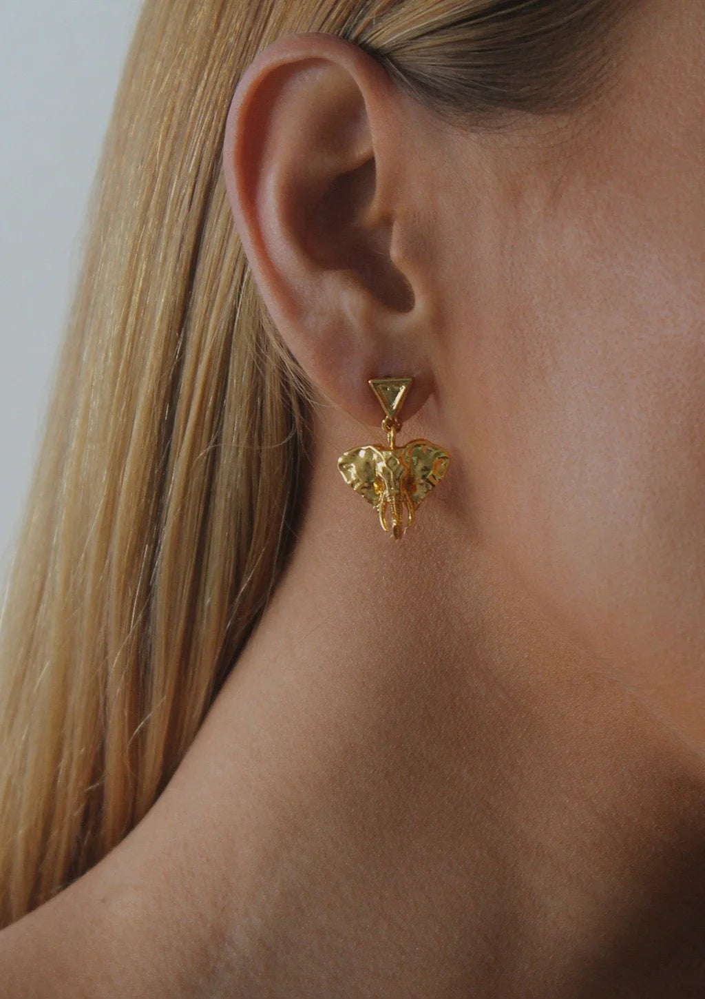 Aretes Elefante Tótem Fortaleza