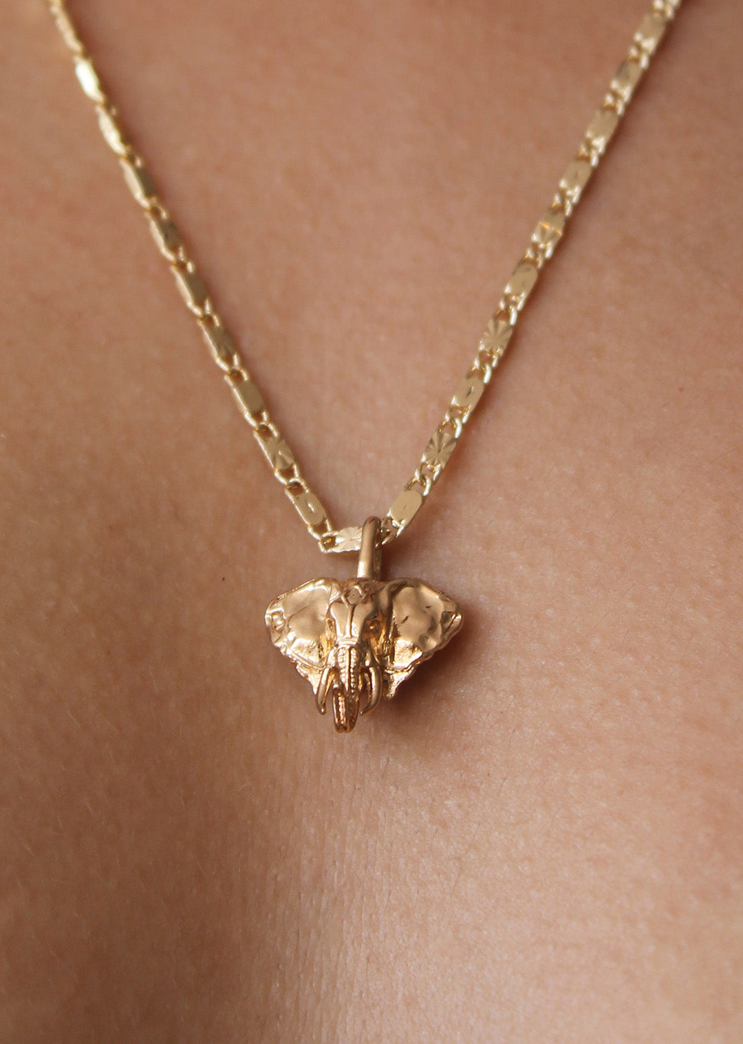 Collar Elefante Tótem Fortaleza