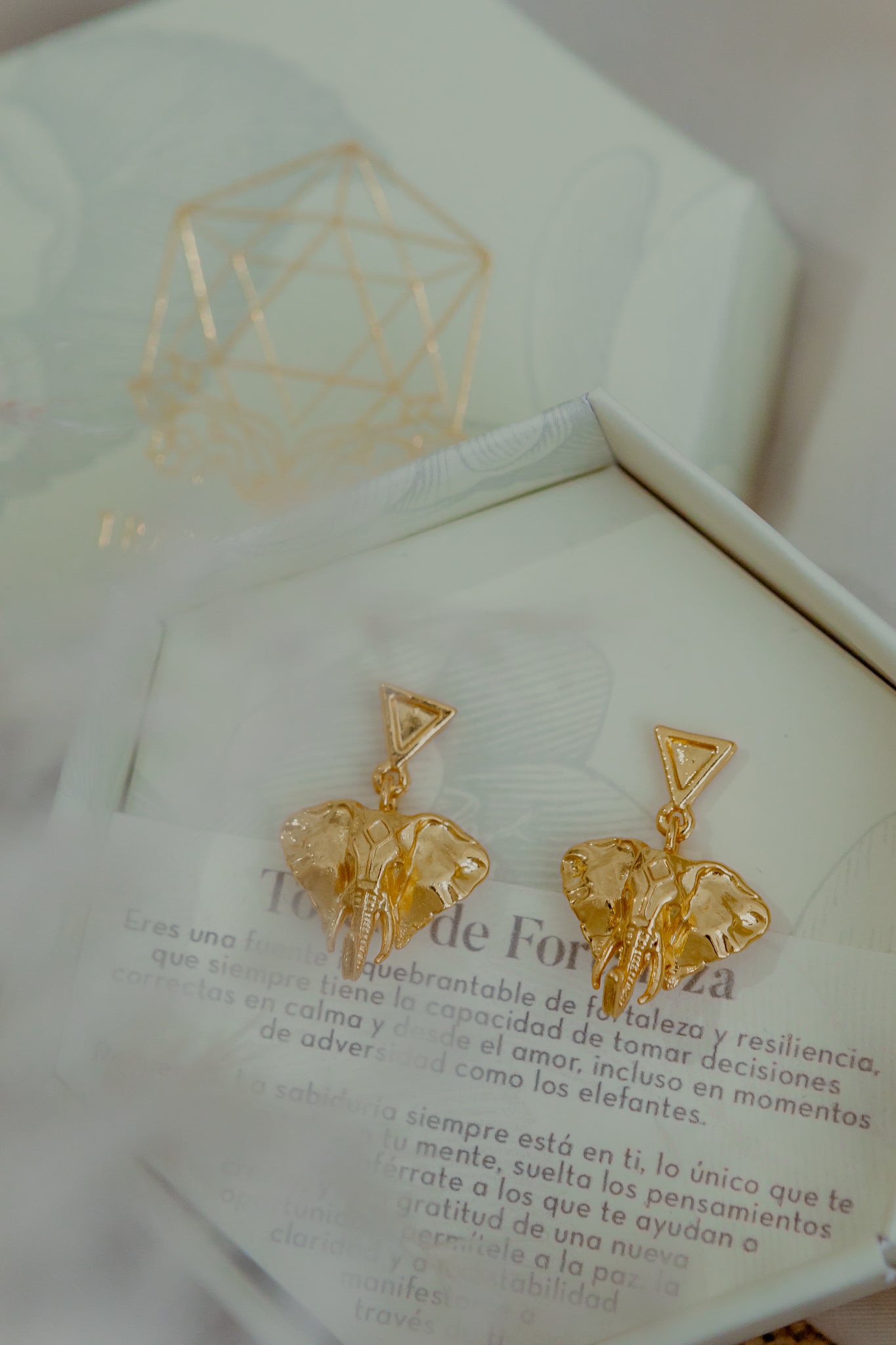 Aretes Elefante Tótem Fortaleza