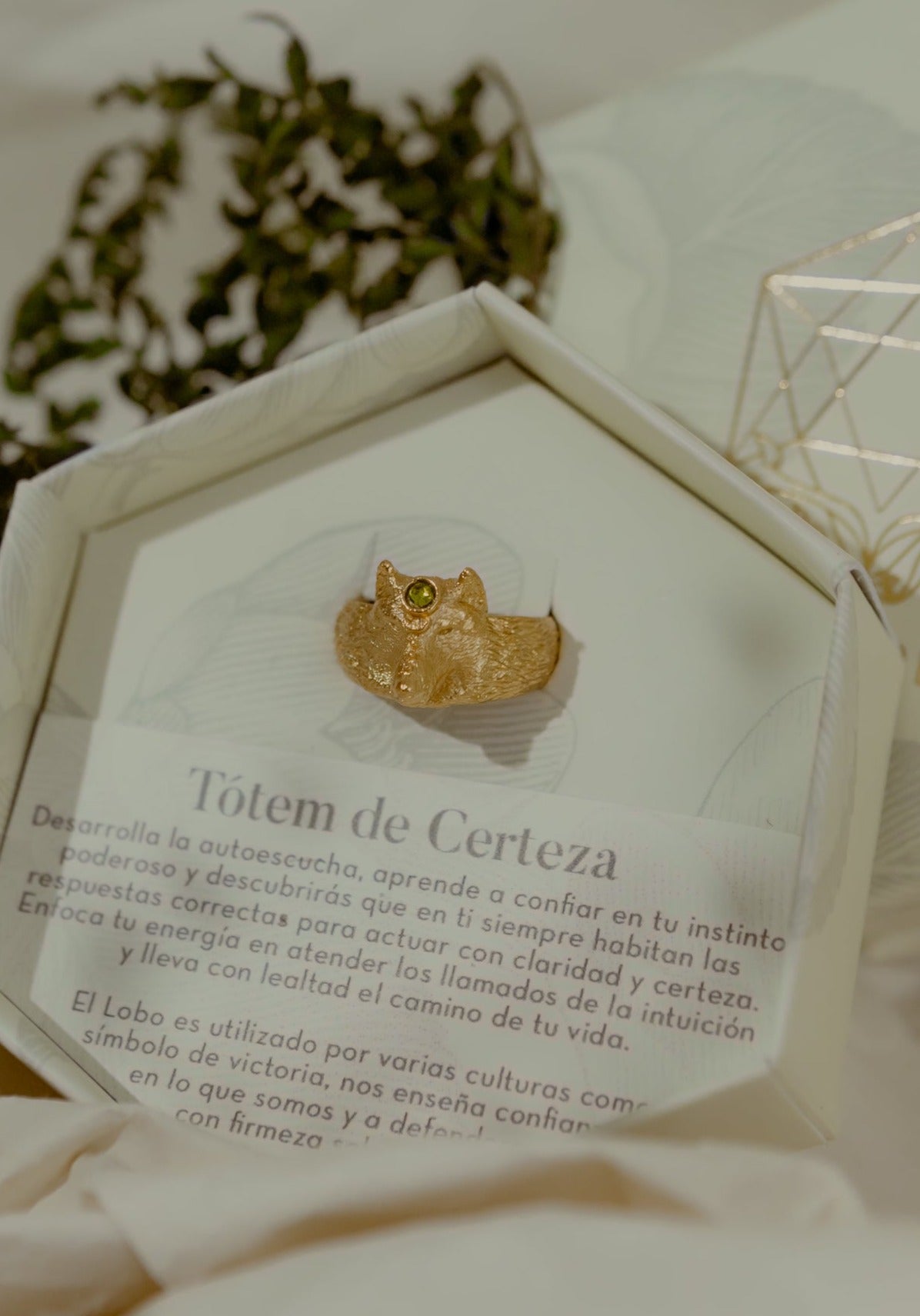 Anillo Tótem Certeza