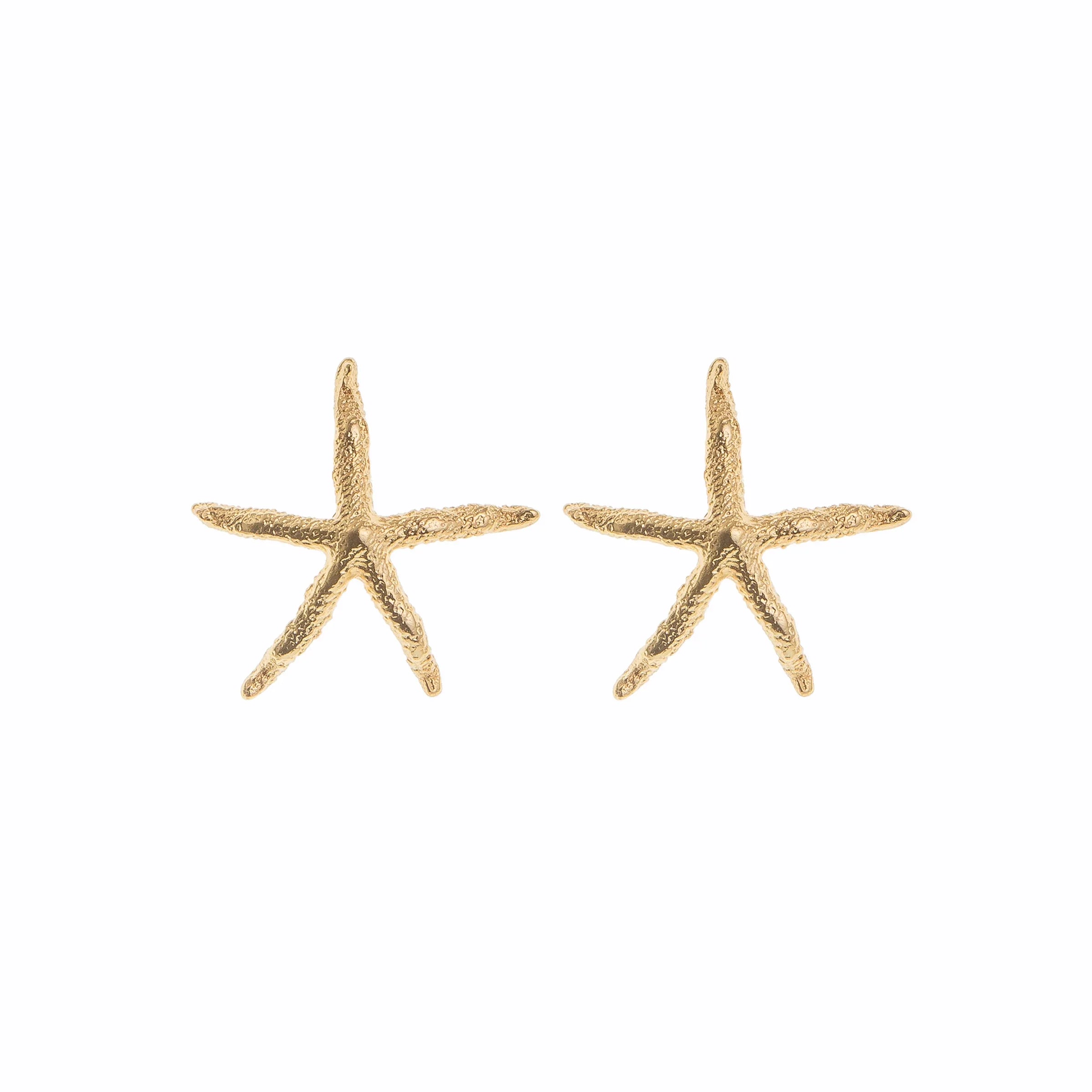 Aretes Estrella de Mar - Resiliencia